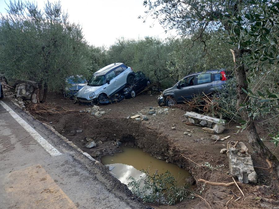
	Le auto finite nell'oliveta a Figline

