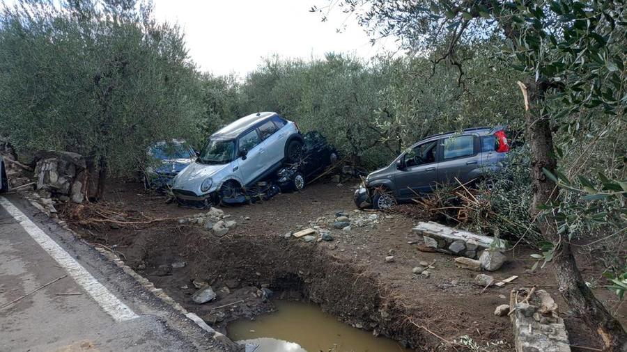 Le auto finite nell'oliveta a Figline
