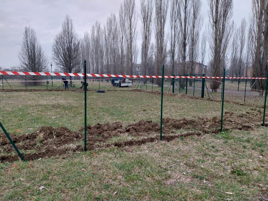 Reggio Emilia, tre nuove aree per sgambamento cani