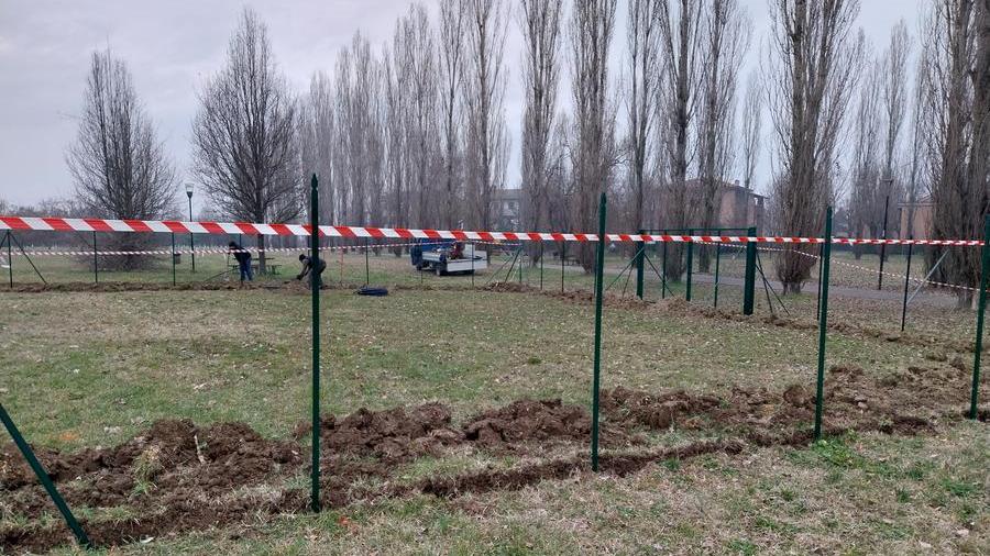 Reggio Emilia, tre nuove aree per sgambamento cani