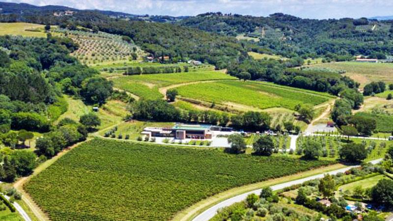 La top 100 dei vini rossi: accanto al Sassicaia svettano La Regola e il Lupicaia