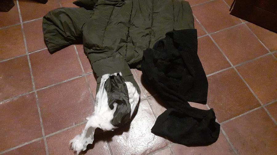 Carpi, aggredita da due cani per strada: «Ho temuto di soccombere»