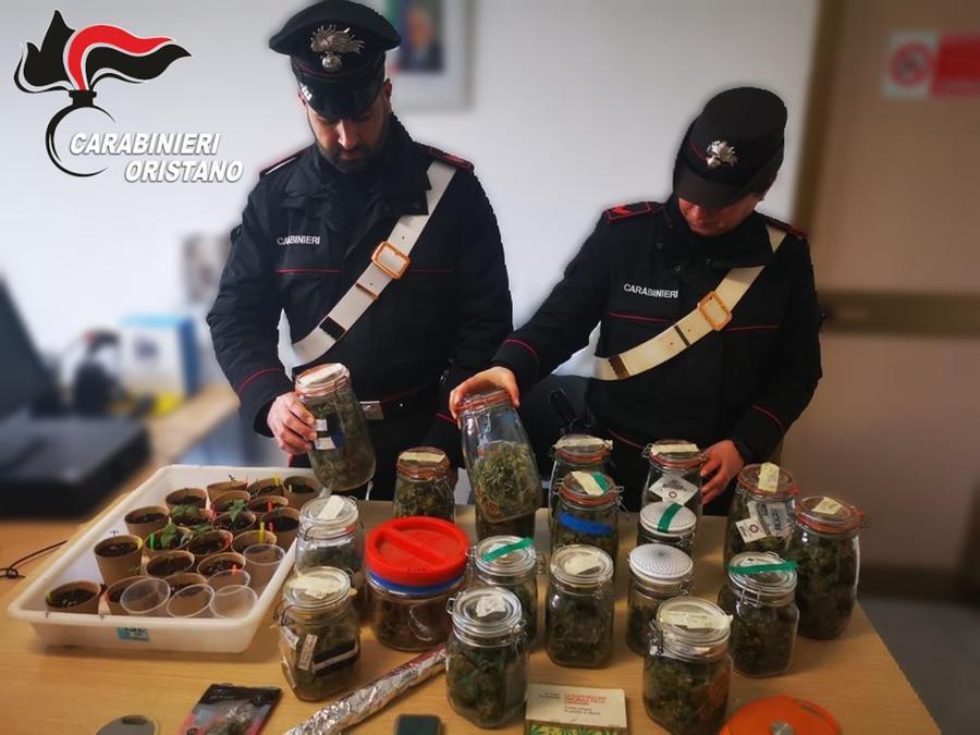 
	I carabinieri con la marijuana scoperta nel capannone

