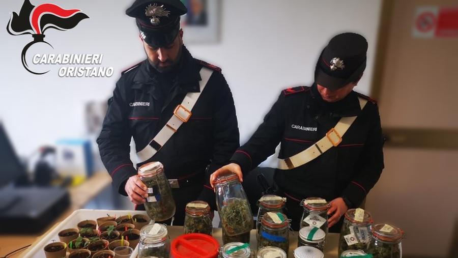 I carabinieri con la marijuana scoperta nel capannone