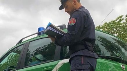 Portomaggiore, agricoltore abbatte oltre 60 alberi. Erano in area protetta: multato