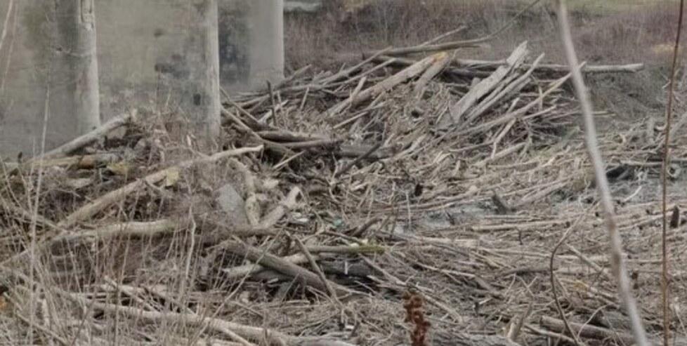 San Biagio di Argenta, cresce la diga di legna sotto il ponte: «Servono interventi programmati»