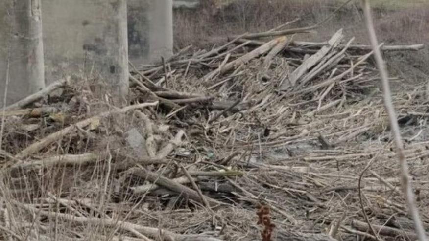 San Biagio di Argenta, cresce la diga di legna sotto il ponte: «Servono interventi programmati»