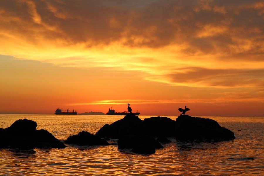Livorno e i guardiani del tramonto: buona domenica da Massimo Bendinelli