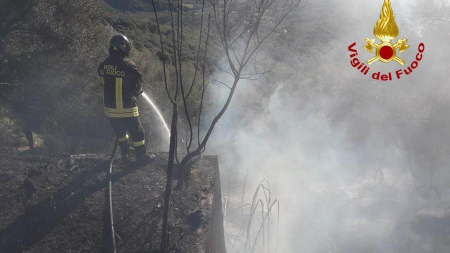 Baunei, in fiamme mille metri quadri di macchia mediterranea: pericolo per alcune case