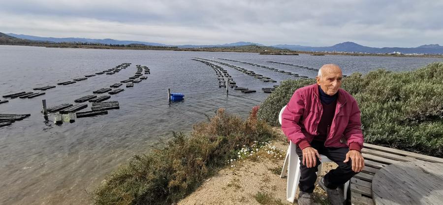 Olbia, nuova vita con le ostriche per “Sa pischera de Bilianu”