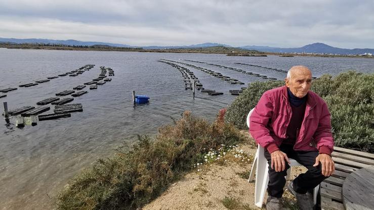 Olbia, nuova vita con le ostriche per “Sa pischera de Bilianu”