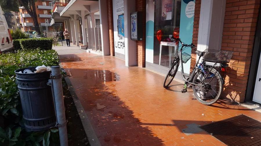 Prato, muore investito da un’auto: chi è la vittima