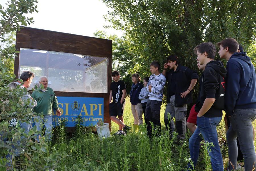 Biella, studenti alla scoperta del miele con un corso gratuito di apicoltura