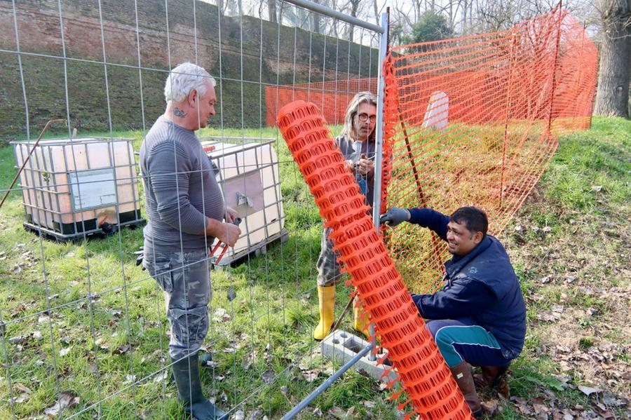 Ferrara, continua “1 km di mura all’anno”. Fabbri: “Patrimonio straordinario”