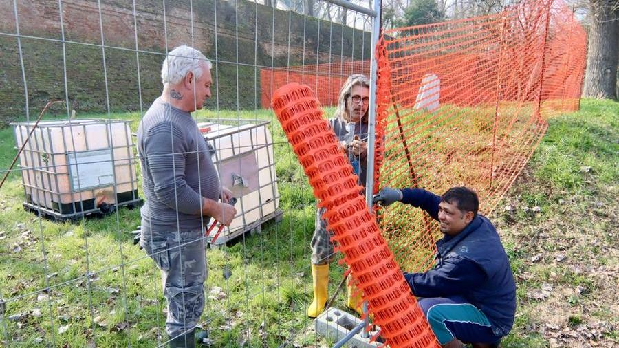 Ferrara, continua “1 km di mura all’anno”. Fabbri: “Patrimonio straordinario”