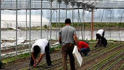 Deep Green: «Mai visti i soldi della Regione»