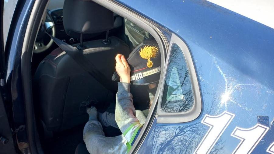 Ventasso, bambino di 4 anni si perde nel bosco: trovato dopo un’ora