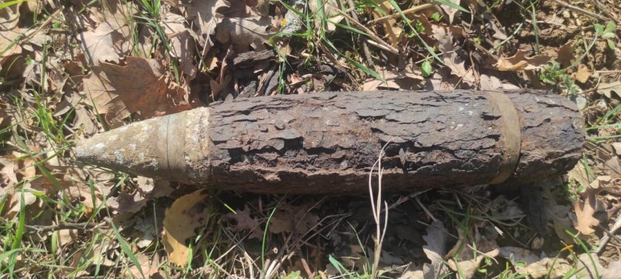 Massa Marittima, trovato ordigno bellico nel bosco