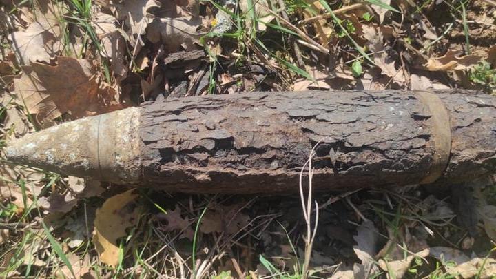 Massa Marittima, trovato ordigno bellico nel bosco