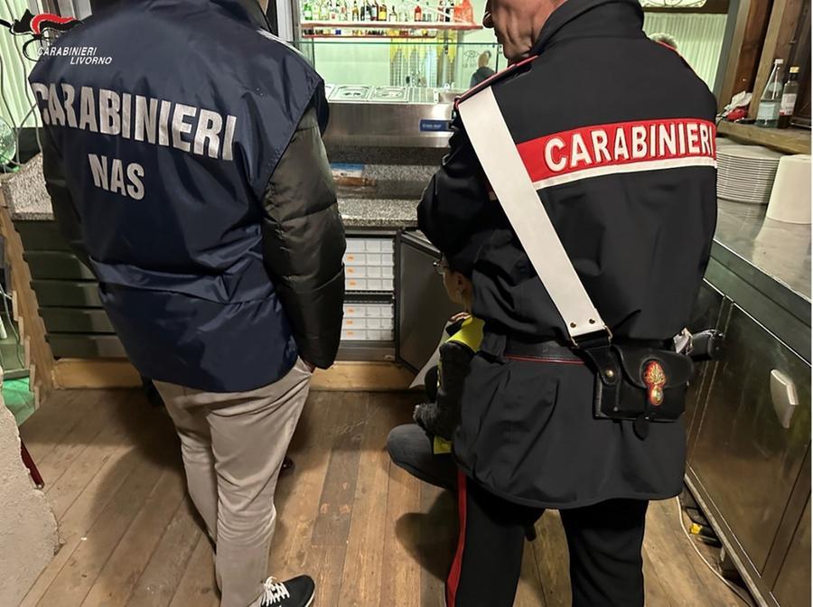 
	I carabinieri del Nas (foto d'archivio)

