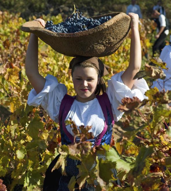 Alla scoperta dei grandi vini sardi 