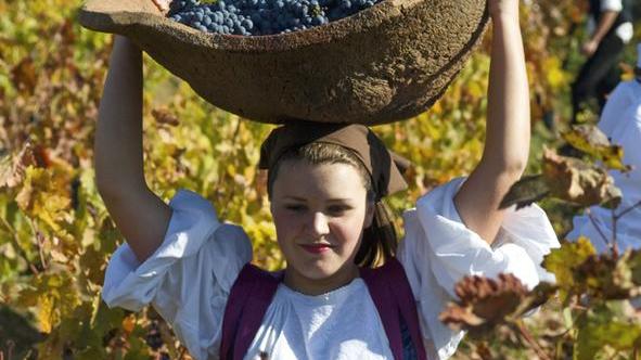 Alla scoperta dei grandi vini sardi 
