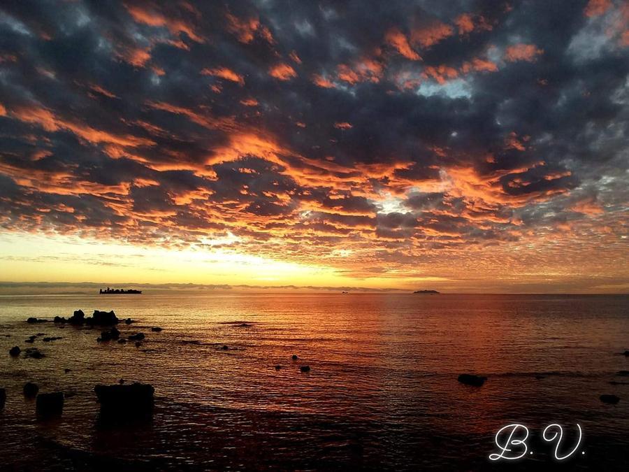 Livorno e lo spettacolare tramonto di Barbara Vivarelli: buon giovedì