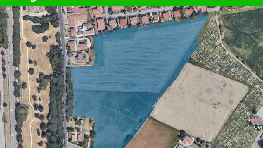 Nuovo bosco a Ferrara, 3.500 alberi e arbusti in città