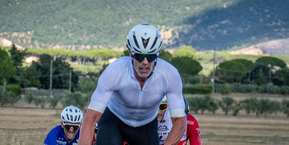 Cipollini