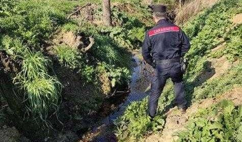 
	Le acque scure del torrente

