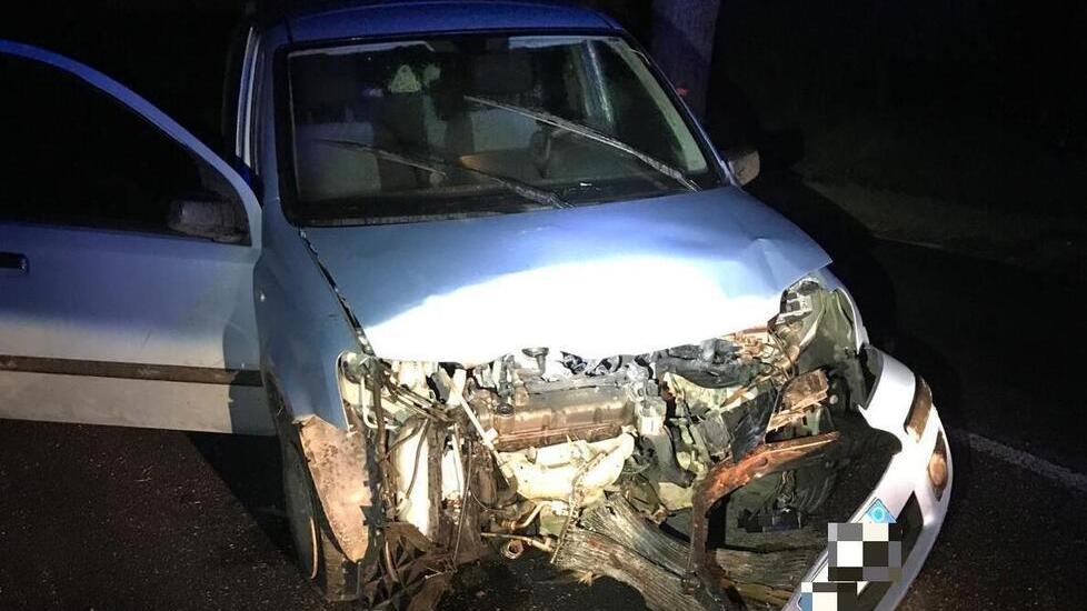 Cecina, auto contro un pino: due giovani finiscono al pronto soccorso