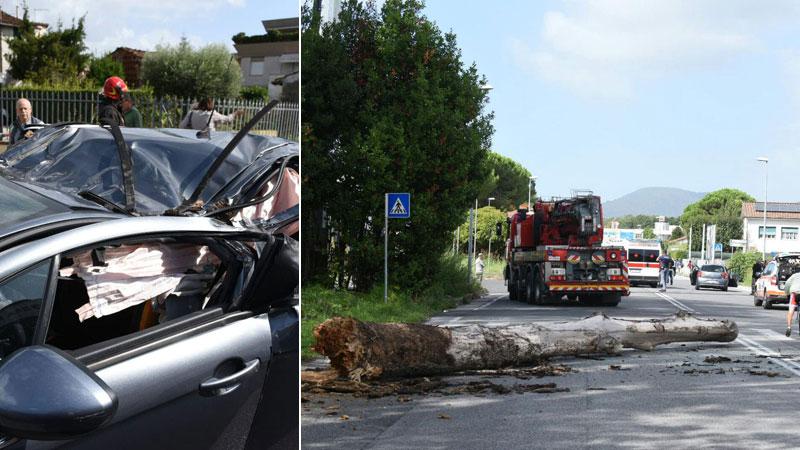 A sinistra l’auto dopo essere stata colpita dal pioppo che aveva ceduto di schianto dal ciglio stradale. A destra l’albero sulla sede stradale dopo il crollo sul veicolo in transito che si vede