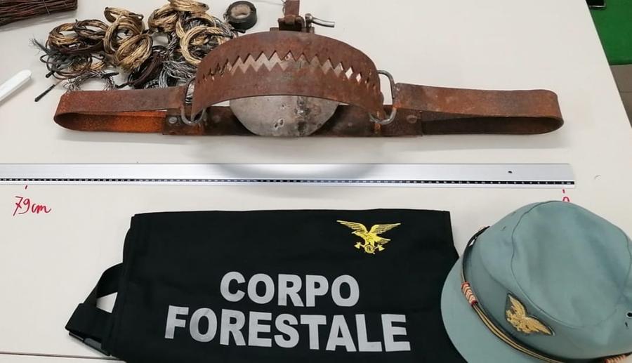 Cavetti, reti e una micidiale tagliola: dal Sulcis a Villasimius blitz dei forestali per fermare i bracconieri