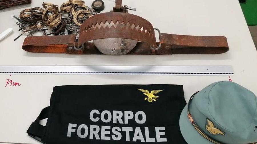 Cavetti, reti e una micidiale tagliola: dal Sulcis a Villasimius blitz dei forestali per fermare i bracconieri