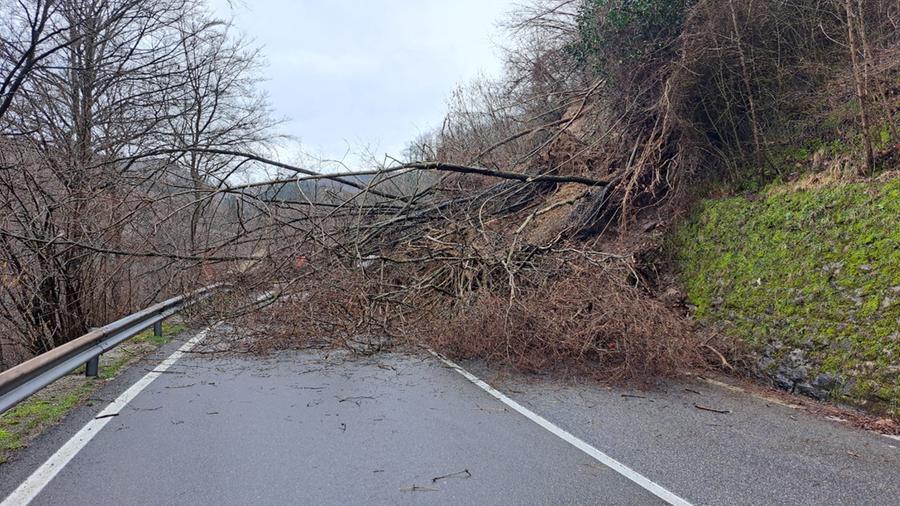Alberi e fango sulla regionale 325 a Vernio: interrotta la circolazione
