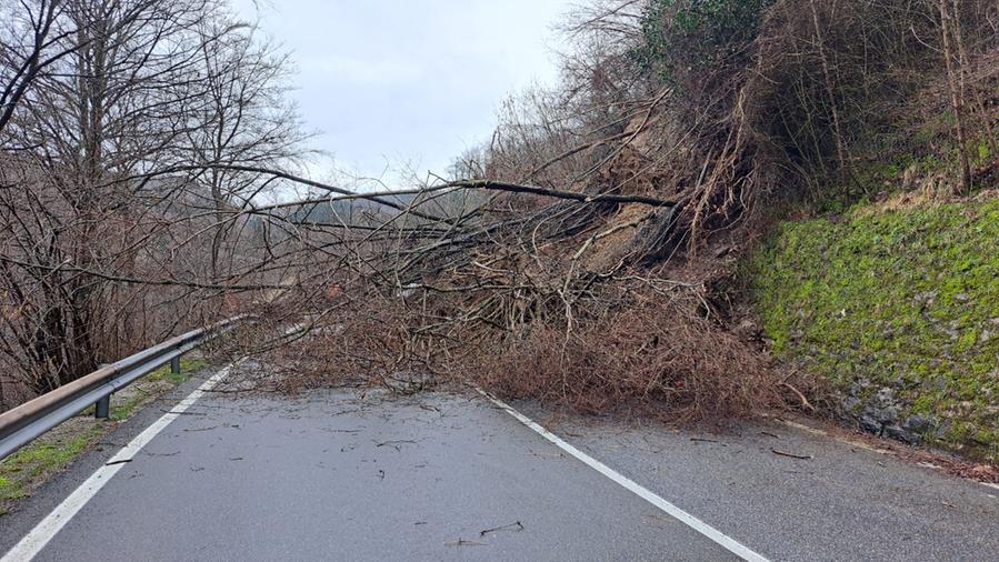 Alberi e fango sulla regionale 325 a Vernio: interrotta la circolazione