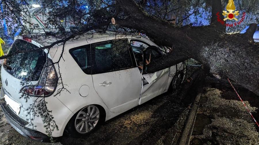 L'auto colpita dal pino in via Caruso