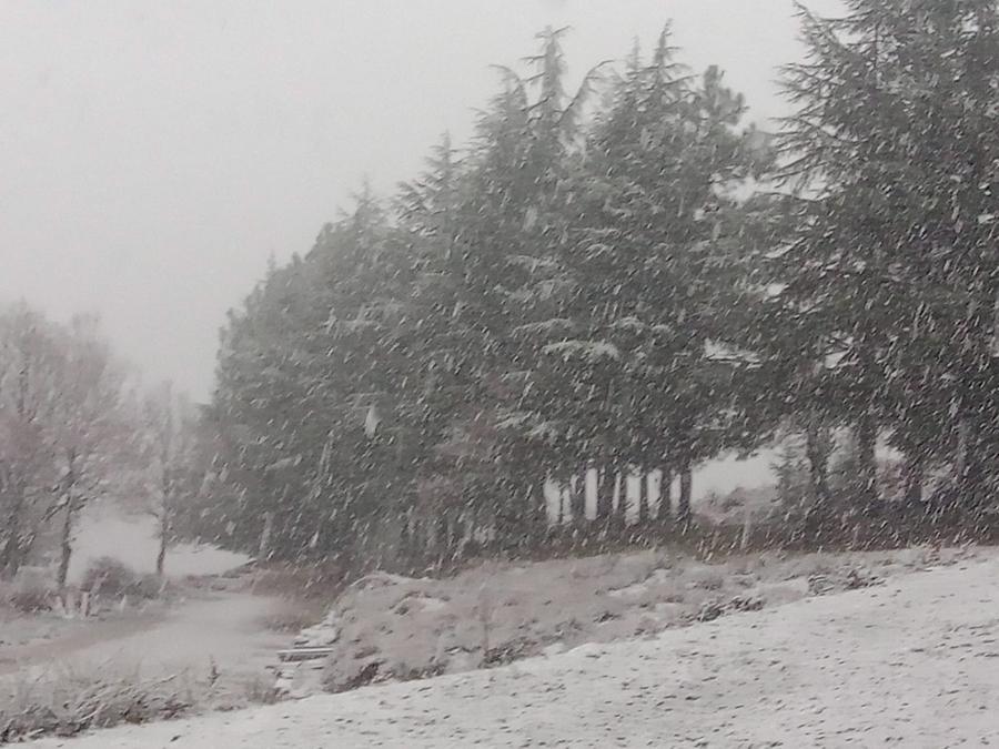 Fonni, a Su Separadorgiu torna la neve