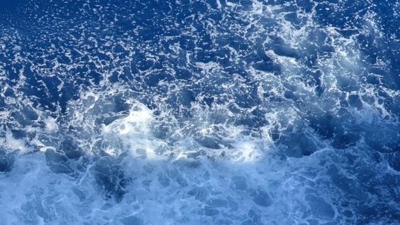 (A)mare clic al salmastro ed emozioni: a Livorno 22 artisti dell'obiettivo