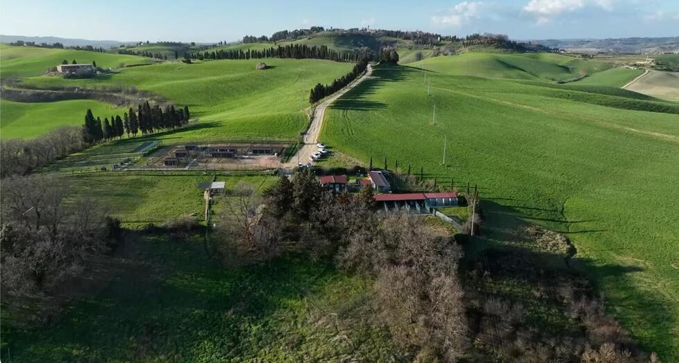 La pace tra le colline: a Lajatico il rifugio per animali abbandonati e maltrattati
