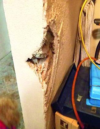 Reggio Emilia, raid nelle cantine di via Viani