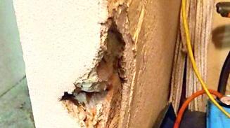 Reggio Emilia, raid nelle cantine di via Viani