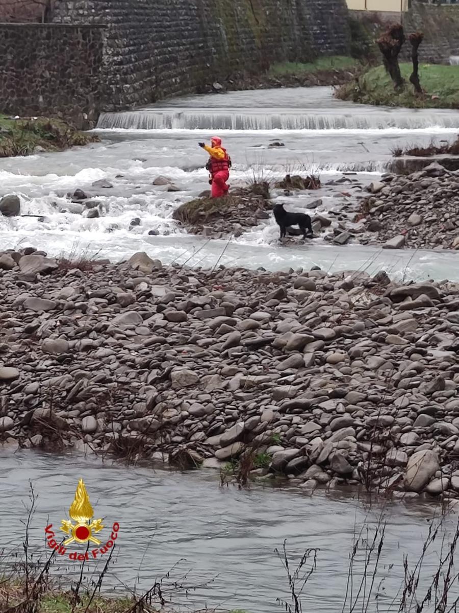 
	Uno dei due cani recuperati dai vigili del fuoco a Vernio

