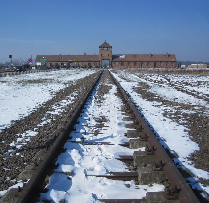 Studente mette in tasca un reperto di Birkenau: interviene la polizia