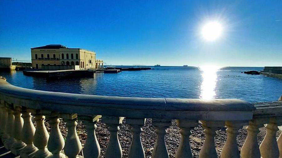 Livorno, buon sabato da Alba Albano