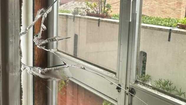 Ferrara, casa devastata e malmenati i gatti. Poi i ladri irridono anche il vicino