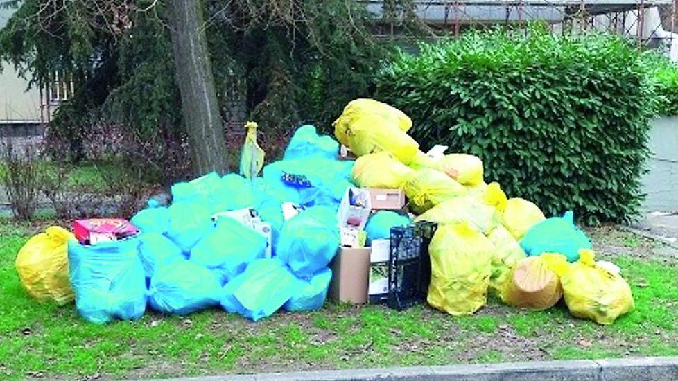 La prof. Modena accende lo scontro sui rifiuti: «Mezzetti scarica Muzzarelli»