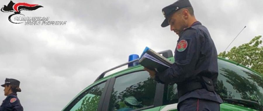 
	Due carabinieri forestali (foto d'archivio)


