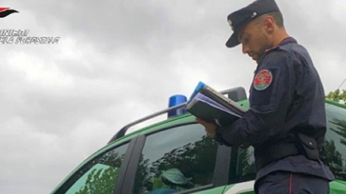 Due carabinieri forestali (foto d'archivio)