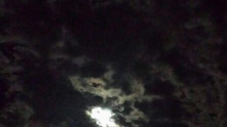 La luna è bianca, misteriosa, attraente: l’astro più caro all’umanità